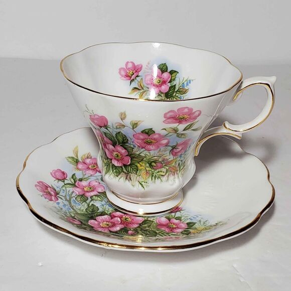 Royal Albert Teacup and Saucer Petula Sunnyside Series - Picture 2 of 9